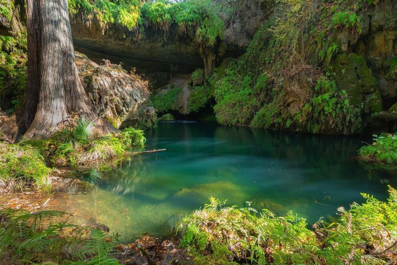 Mysteries-Of-Texas8217s-Westcave-Waters mysteries-of-texass-westcave-waters