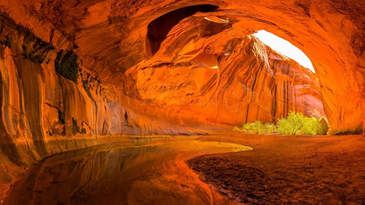 mysteries-of-utahs-golden-cathedral