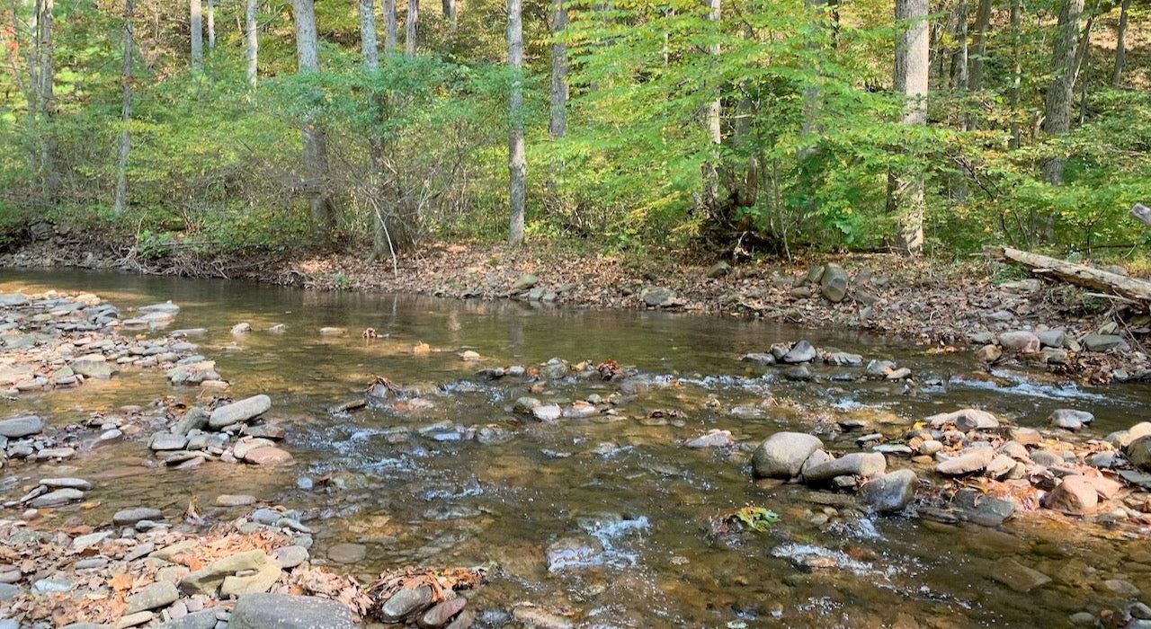 Mysteries-Of-Virginia8217s-Ramsey8217s-Draft-Waters mysteries-of-virginias-ramseys-draft-waters