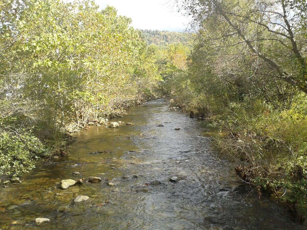 mysteries-of-virginias-rose-river