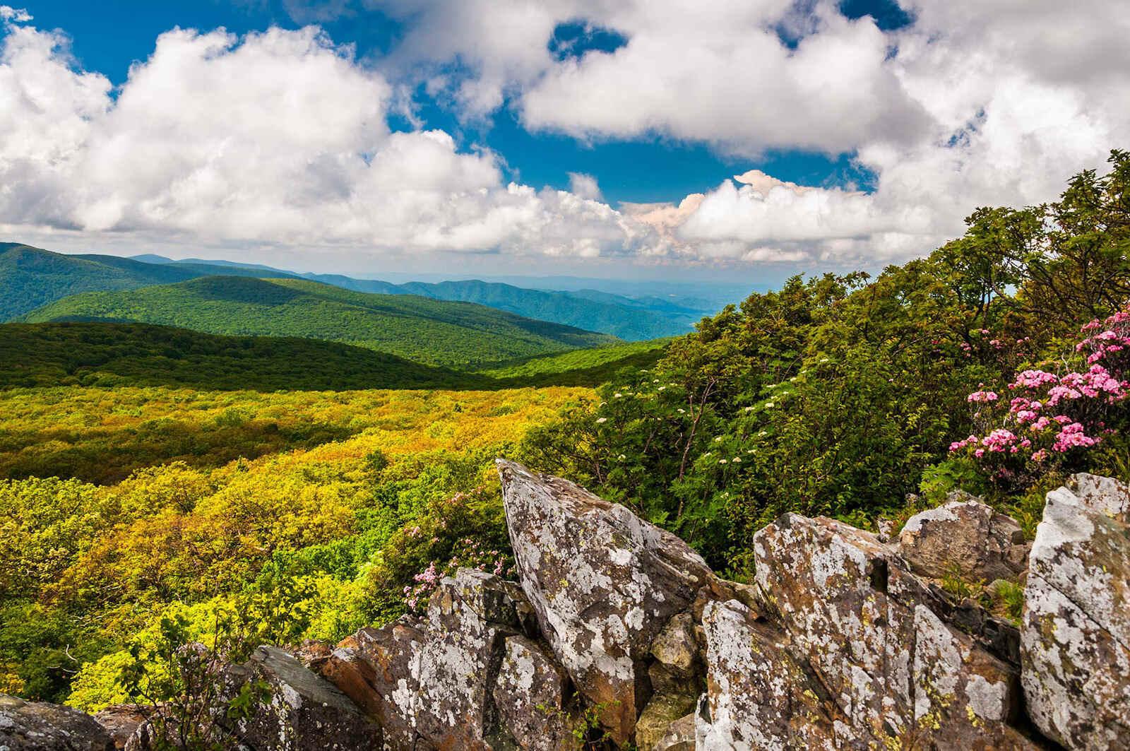 Mysteries-Of-Virginia8217s-Shenandoah-Ridge-Springs mysteries-of-virginias-shenandoah-ridge-springs