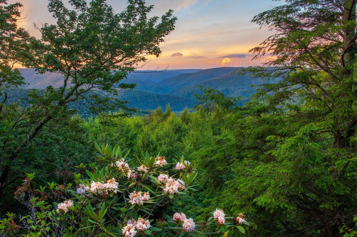 Mysteries-Of-West-Virginia8217s-Bear-Heaven mysteries-of-west-virginias-bear-heaven