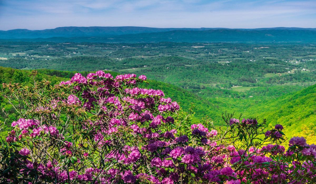 mysteries-of-west-virginias-violet-crown-springs
