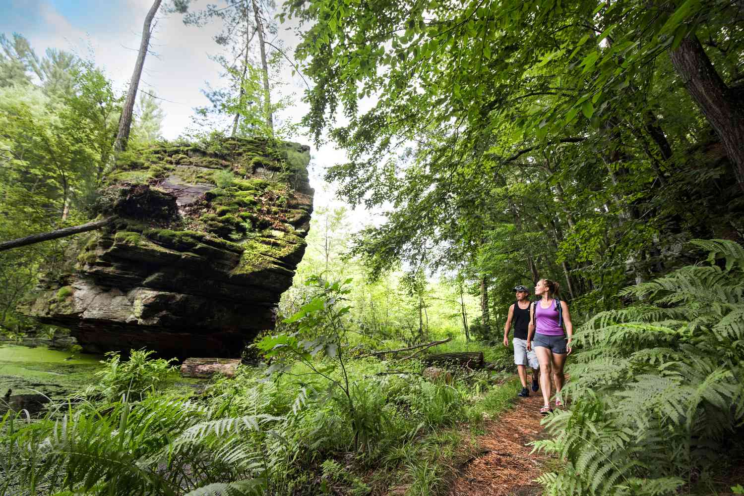 Mysteries-Of-Wisconsin8217s-Ancient-Path mysteries-of-wisconsins-ancient-path