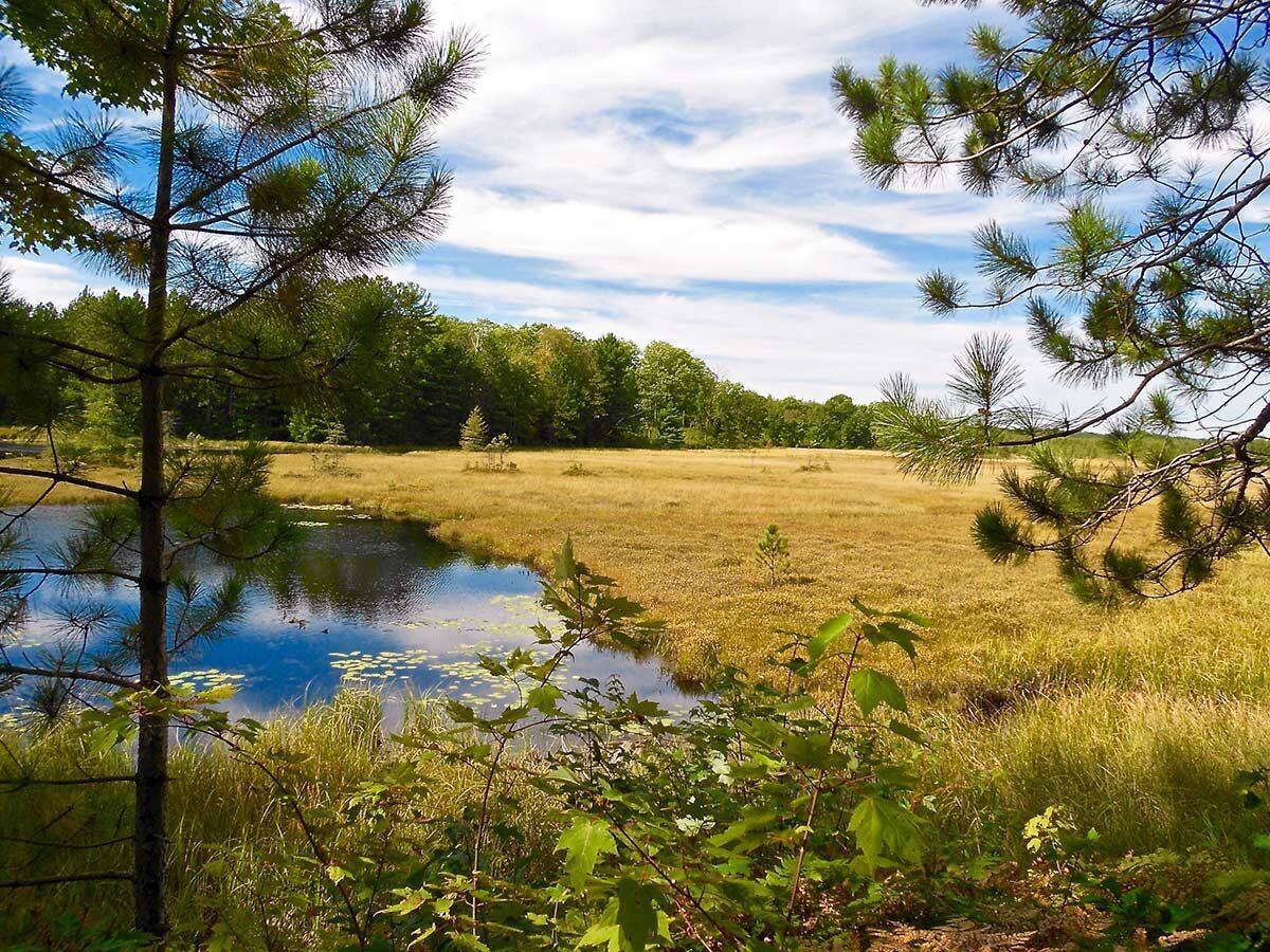 Mysteries-Of-Wisconsin8217s-Ice-Age-Trail-Springs mysteries-of-wisconsins-ice-age-trail-springs