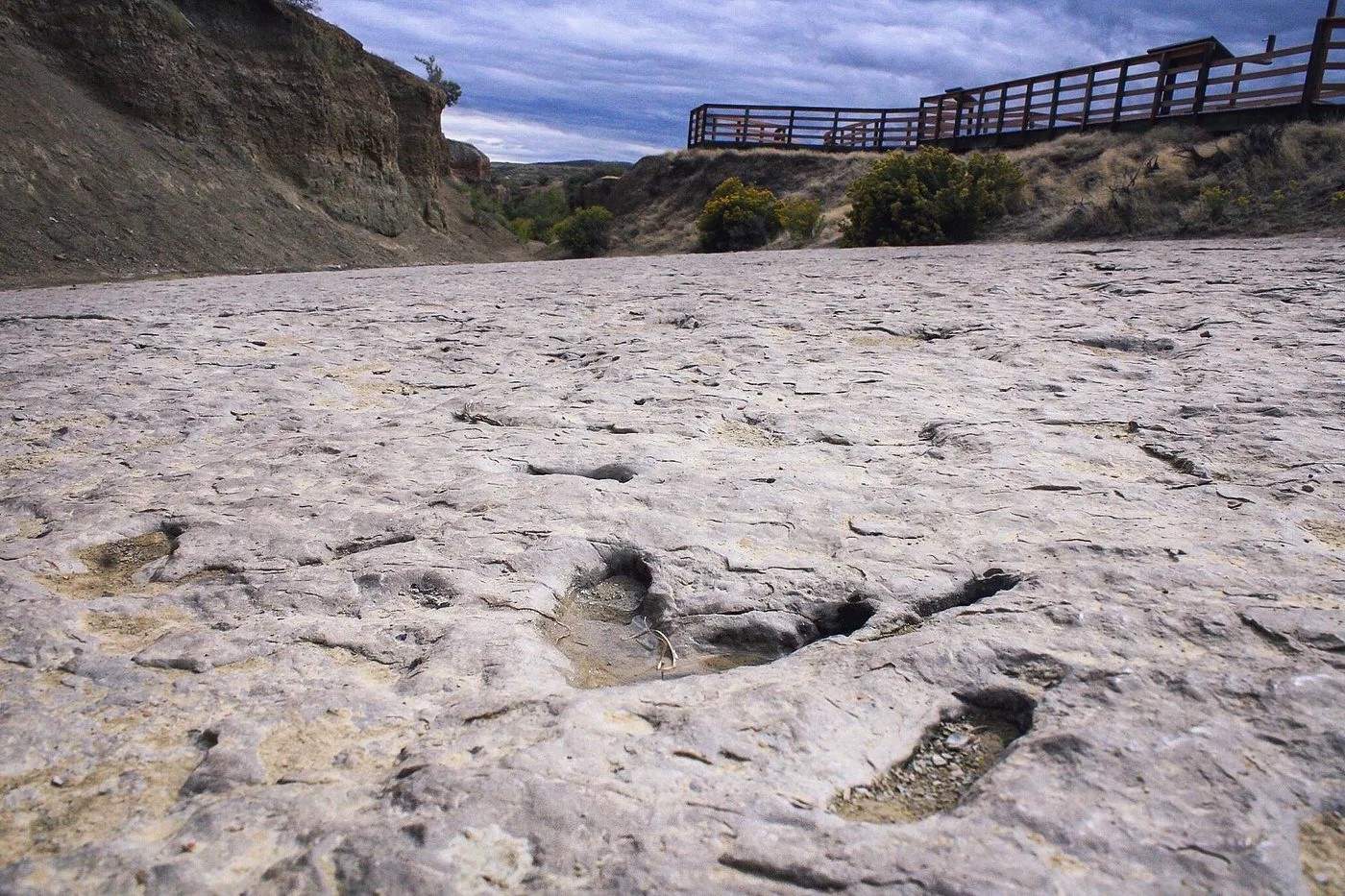 Mysteries-Of-Wyoming8217s-Red-Gulch-Dinosaur mysteries-of-wyomings-red-gulch-dinosaur