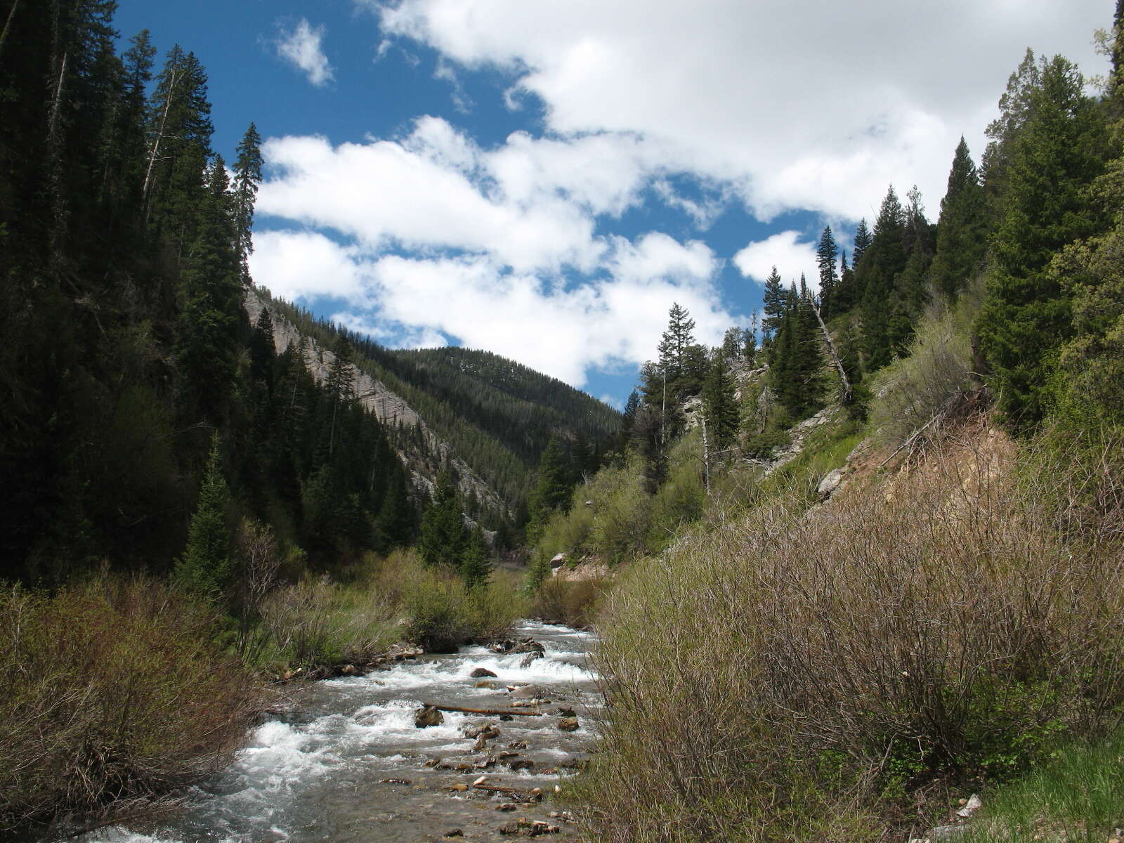 mystery-behind-wyomings-periodic-spring