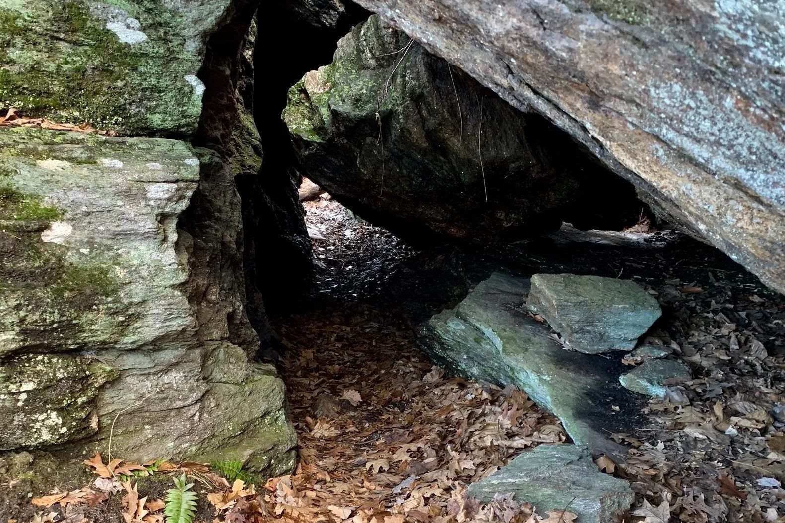 mystery-of-connecticuts-tories-den-springs