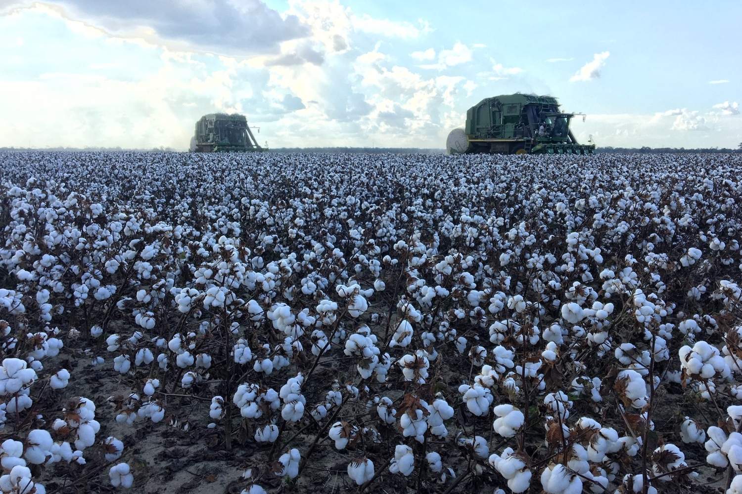 mystery-of-mississippis-cotton-spring