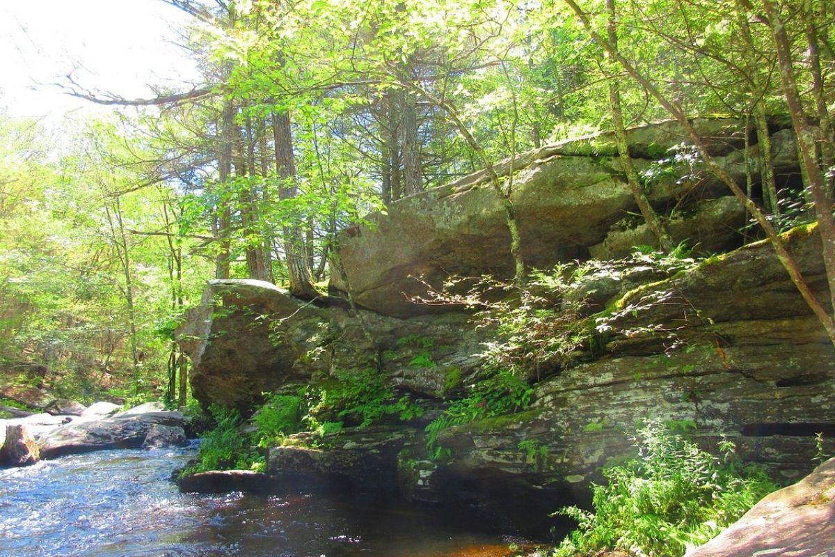 mystery-of-nevadas-dianas-pool-waters