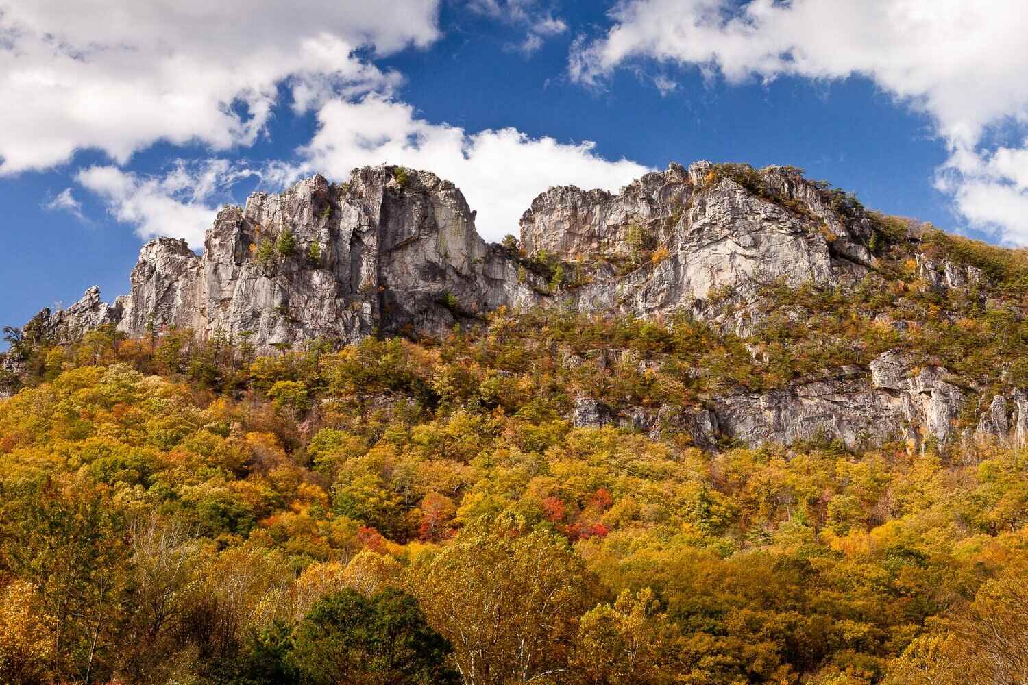 Mystery-Springs-Of-Seneca-Rocks-West-Virginia mystery-springs-of-seneca-rocks-west-virginia