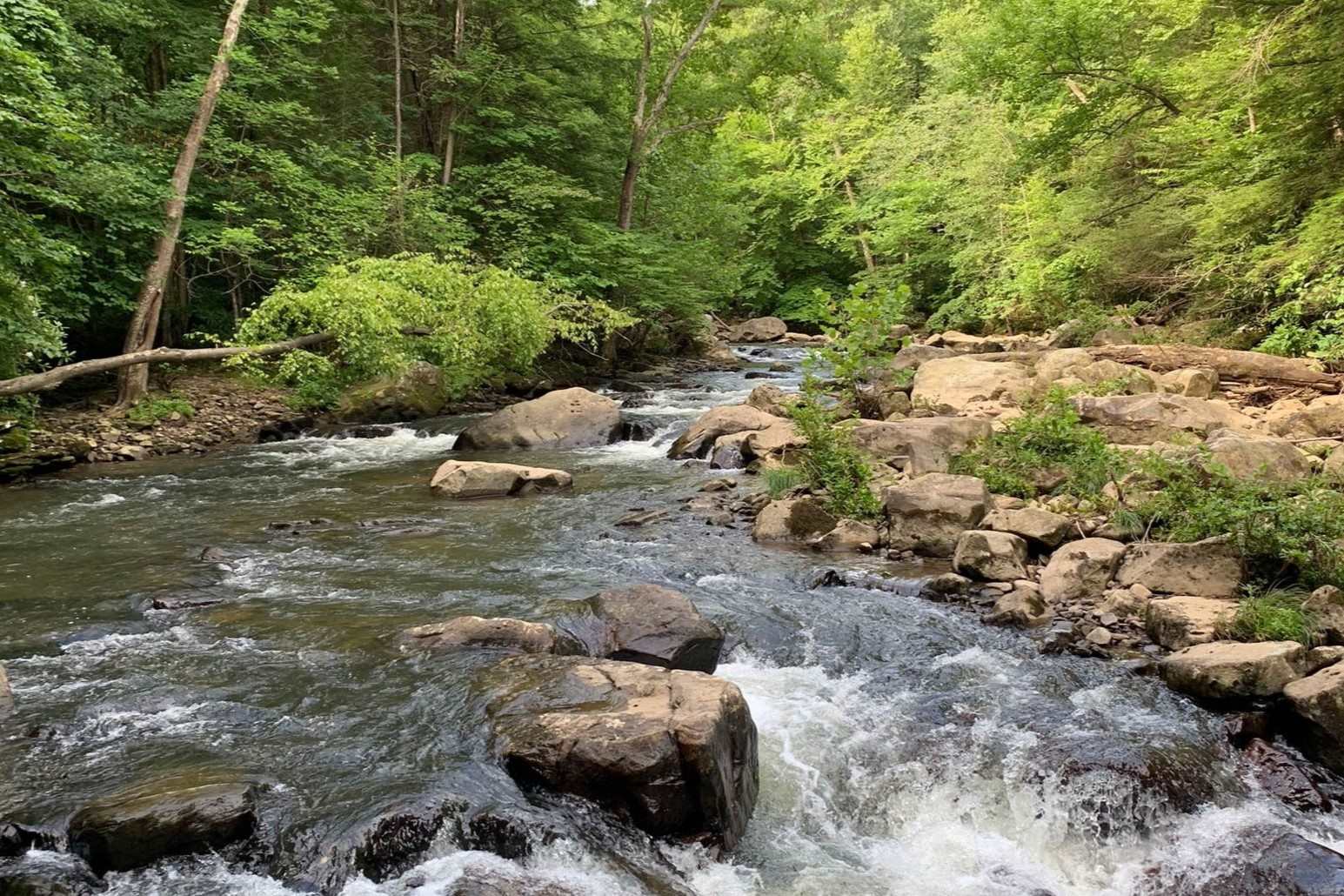 Mystery-Waters-Of-Pennsylvania8217s-Meadow-Run mystery-waters-of-pennsylvanias-meadow-run