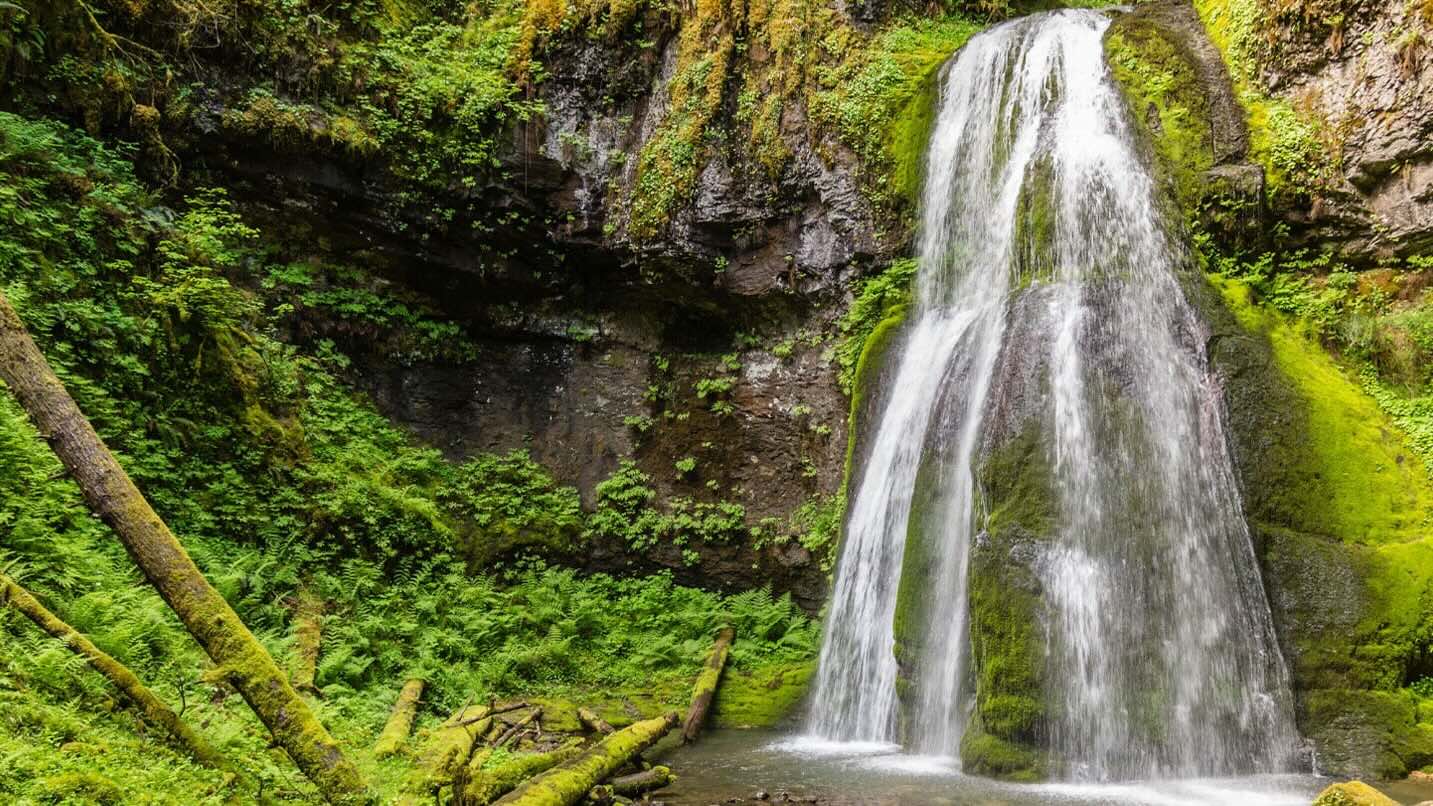 oregons-secret-falls-and-their-hidden-springs