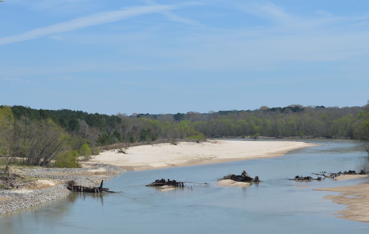 Secret-Lakes-Of-Mississippi8217s-Homochitto secret-lakes-of-mississippis-homochitto