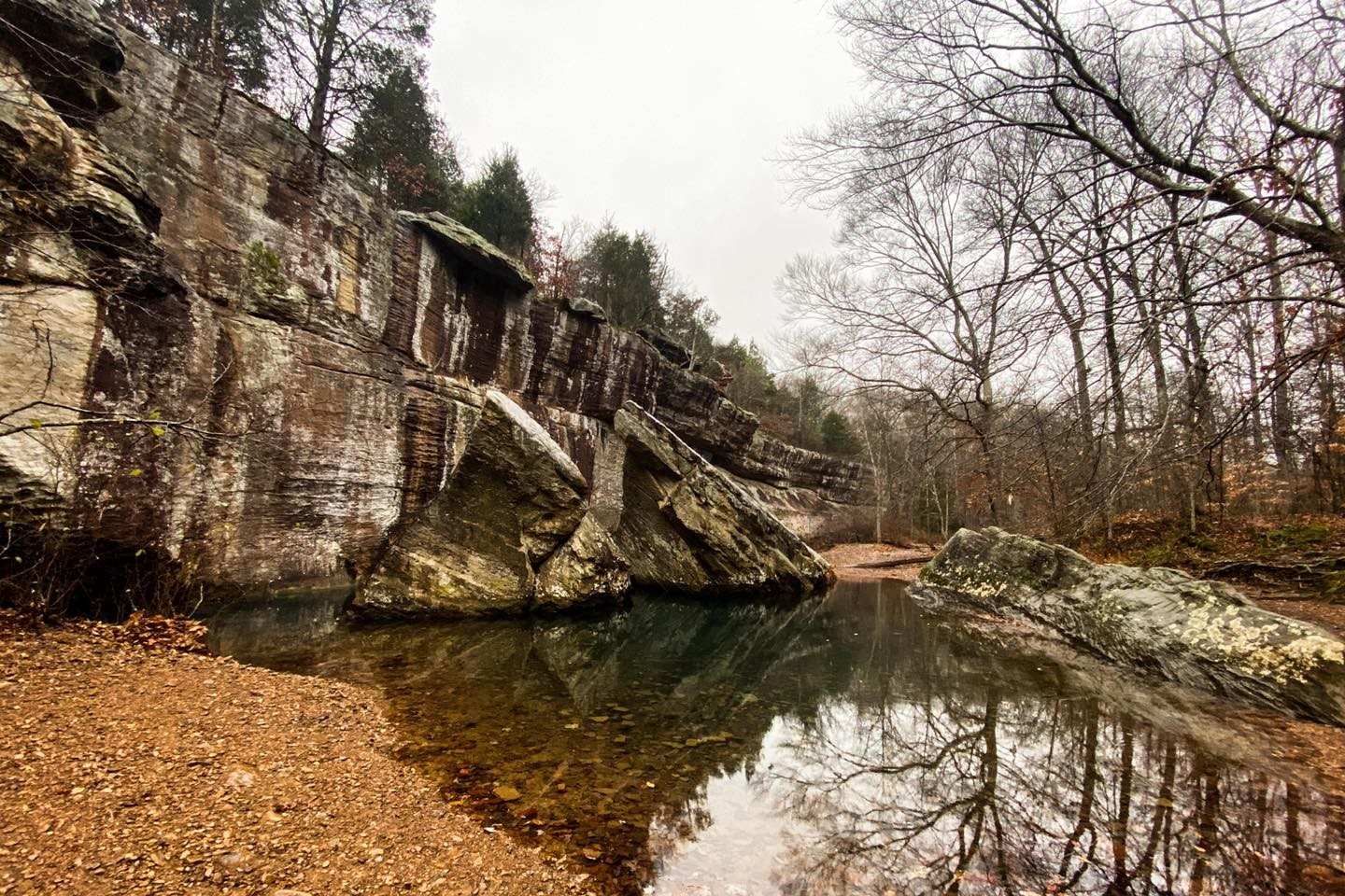 Secret-Springs-Of-Illinois8217-Bell-Smith secret-springs-of-illinois-bell-smith