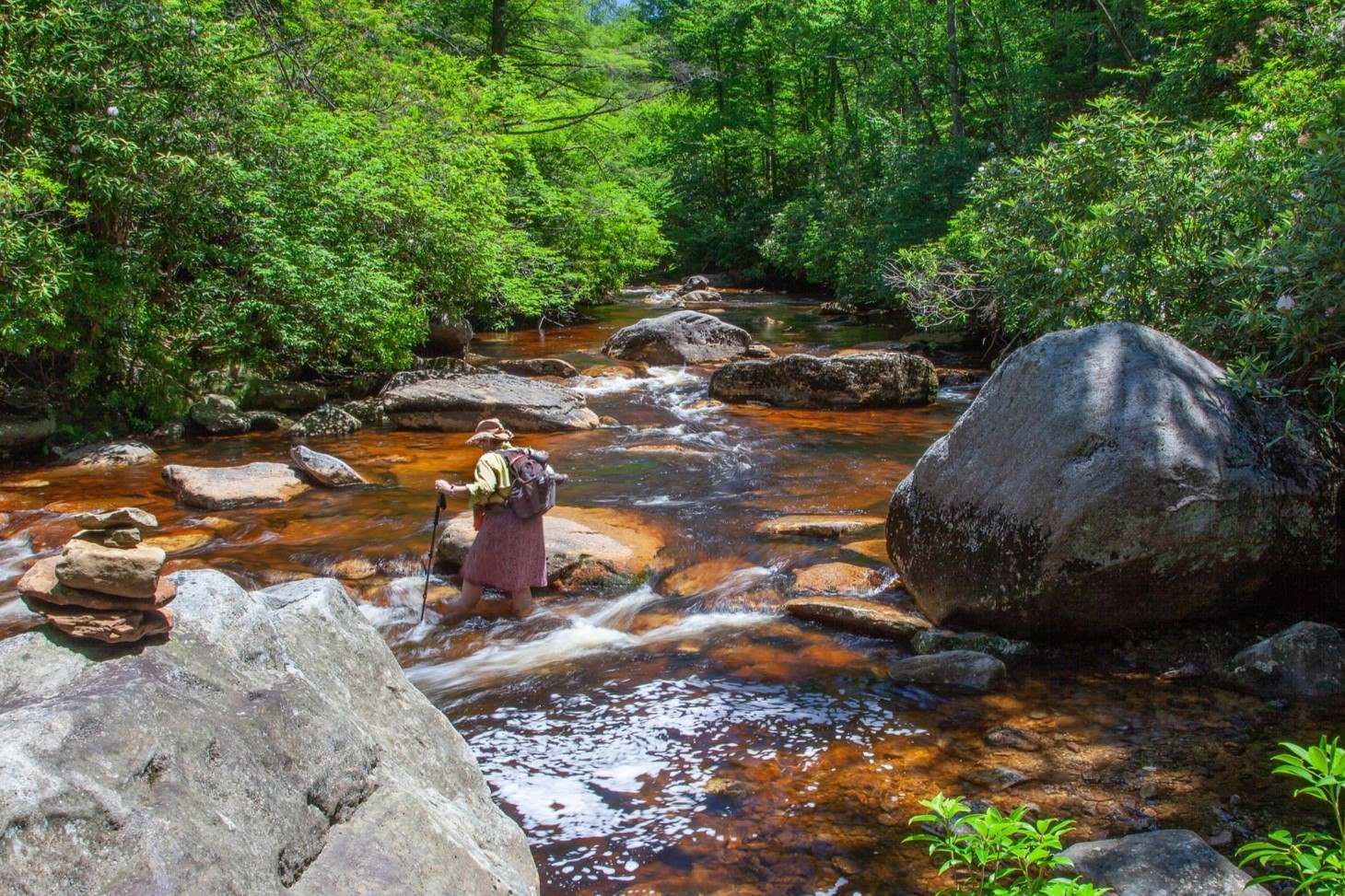 Secret-Trails-Of-West-Virginia8217s-Otter-Creek secret-trails-of-west-virginias-otter-creek