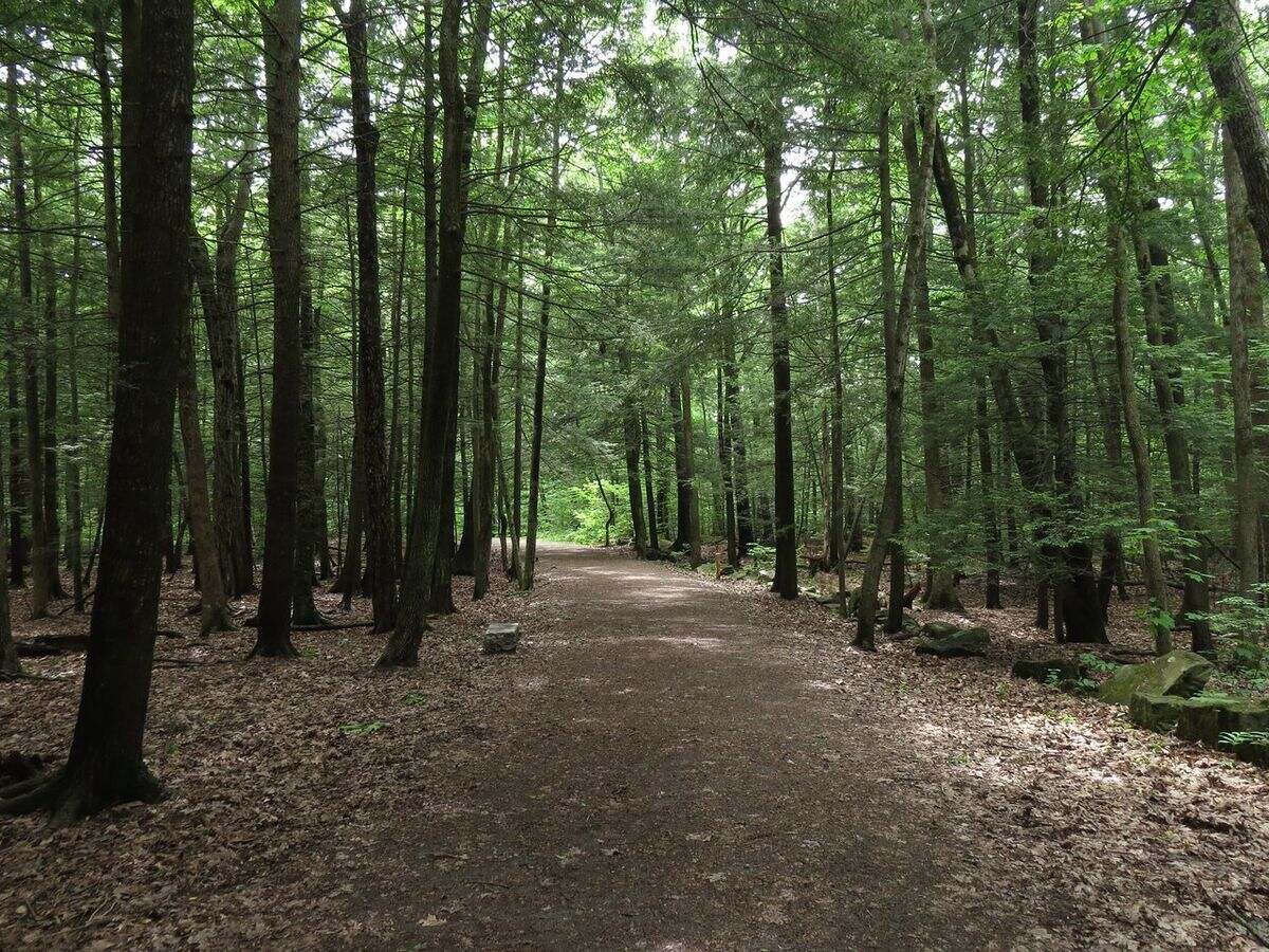 secret-villages-in-maines-baxter-woods