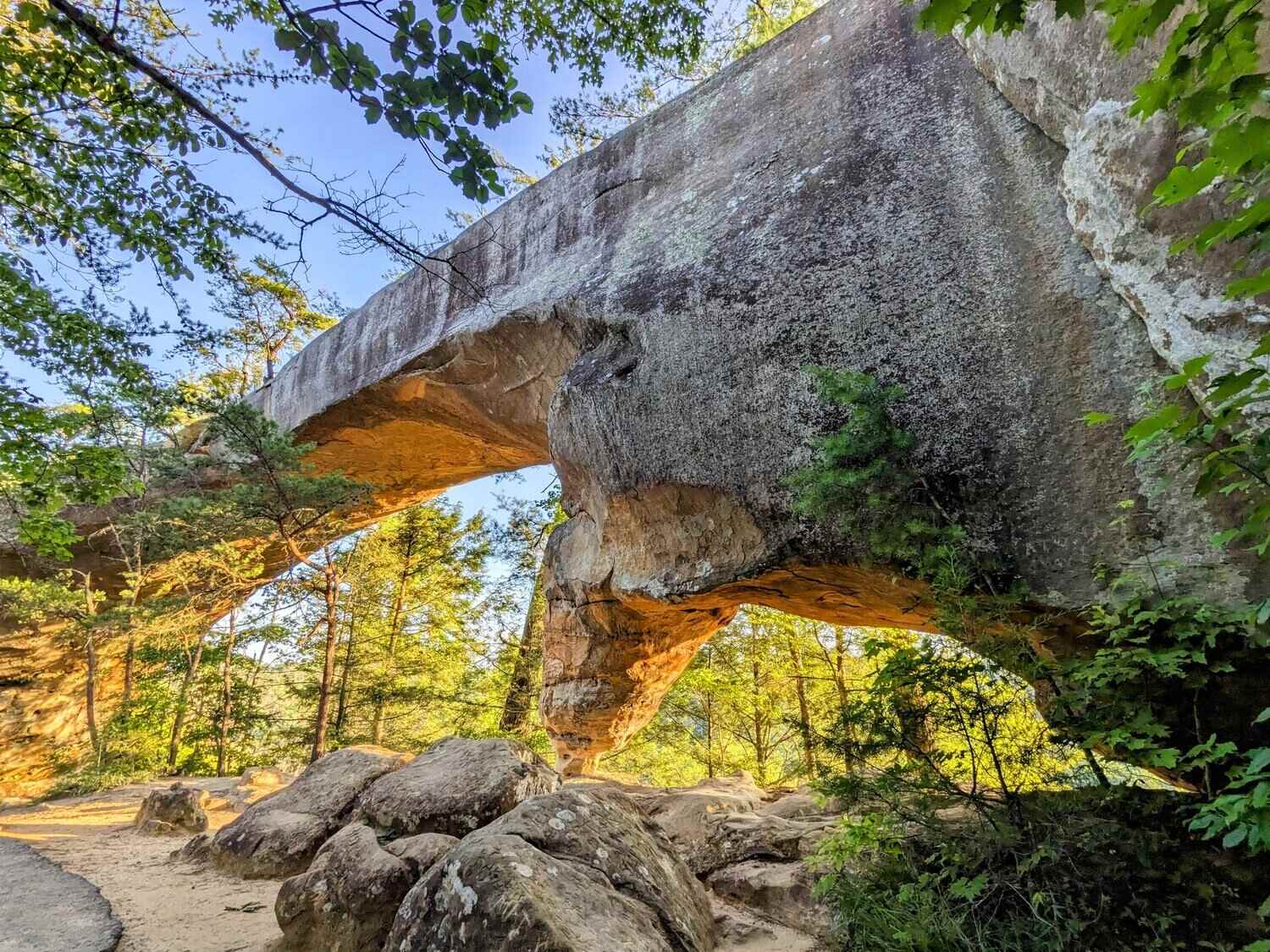 Secrets-Above-Kentucky8217s-Sky-Bridge secrets-above-kentuckys-sky-bridge