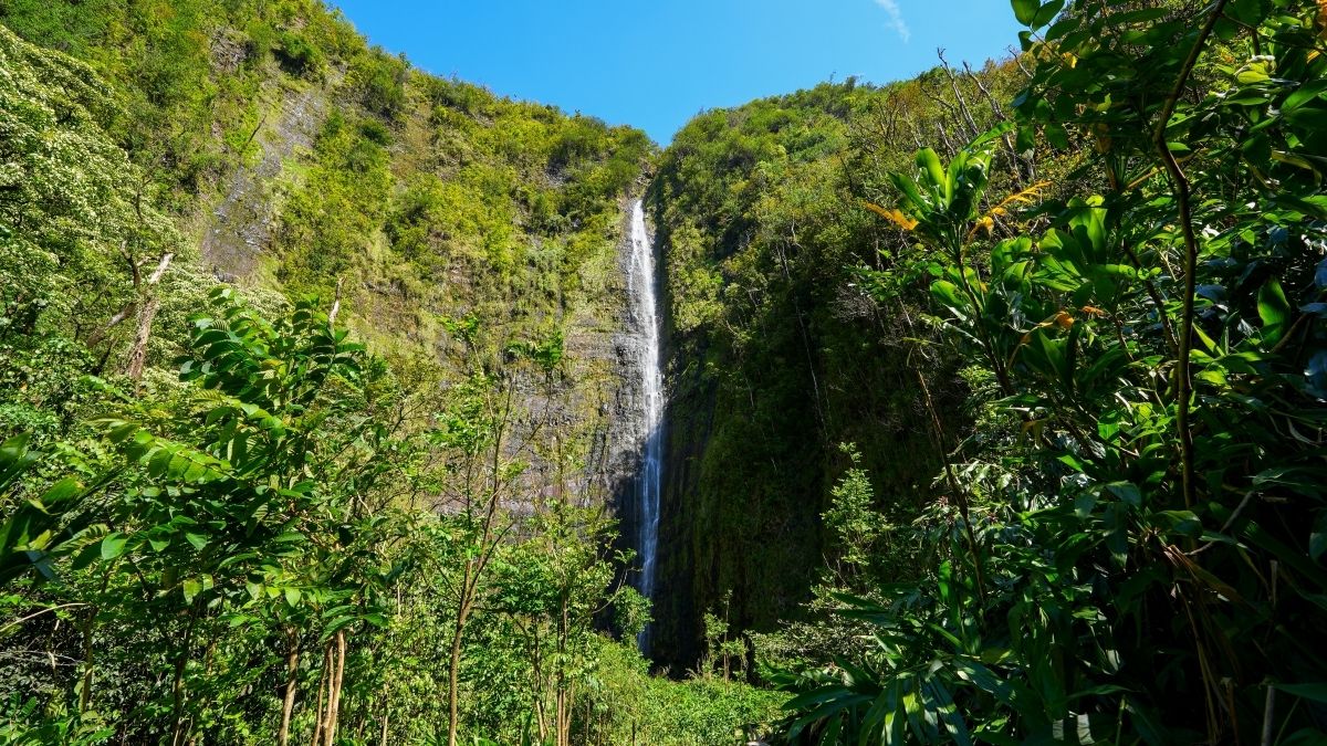 secrets-behind-hawaiis-waimoku-falls