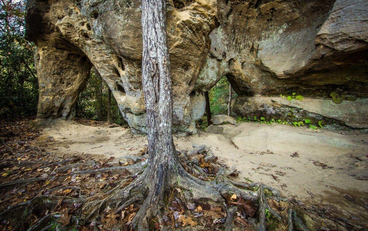 secrets-behind-kentuckys-angel-windows