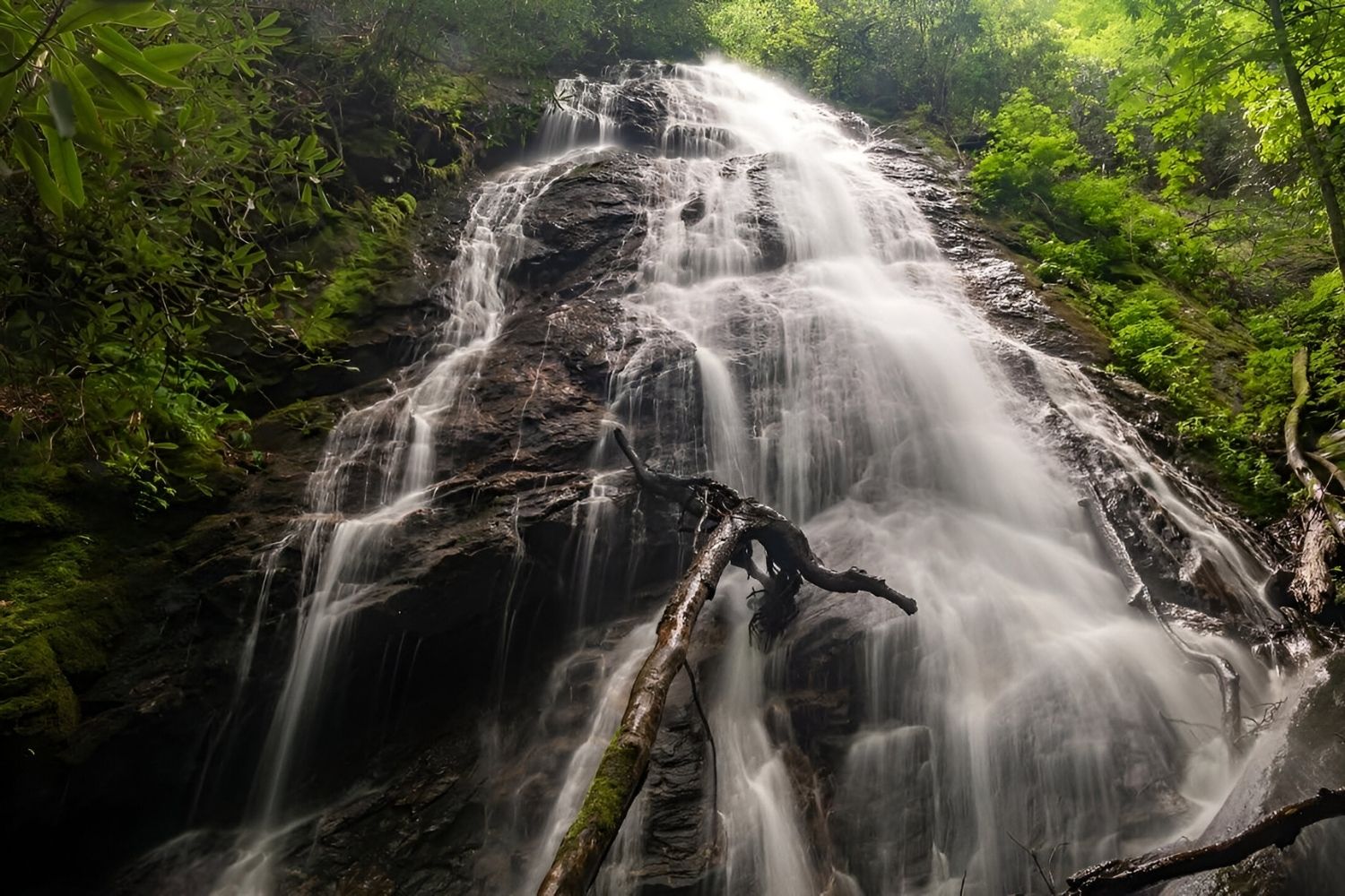 secrets-behind-north-carolinas-rufus-morgan