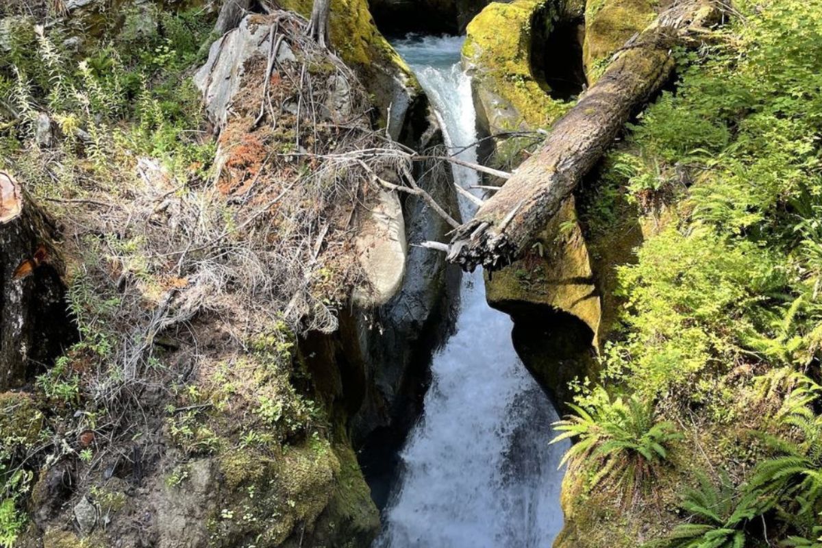Secrets-Behind-Washington8217s-Ladder-Creek-Falls secrets-behind-washingtons-ladder-creek-falls