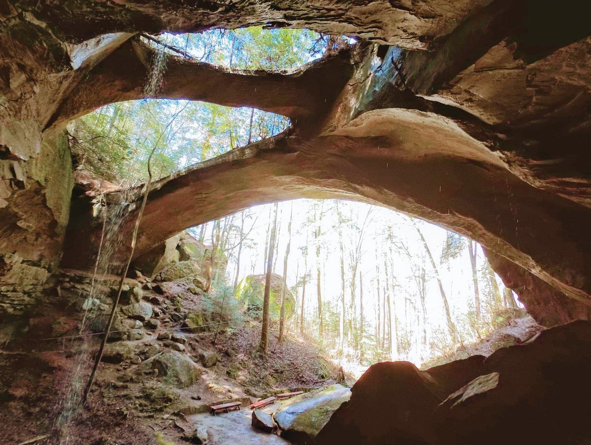 Secrets-Beneath-Alabama8217s-Natural-Bridge secrets-beneath-alabamas-natural-bridge