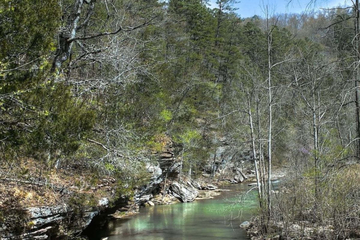 secrets-beneath-arkansas-diamond-creek
