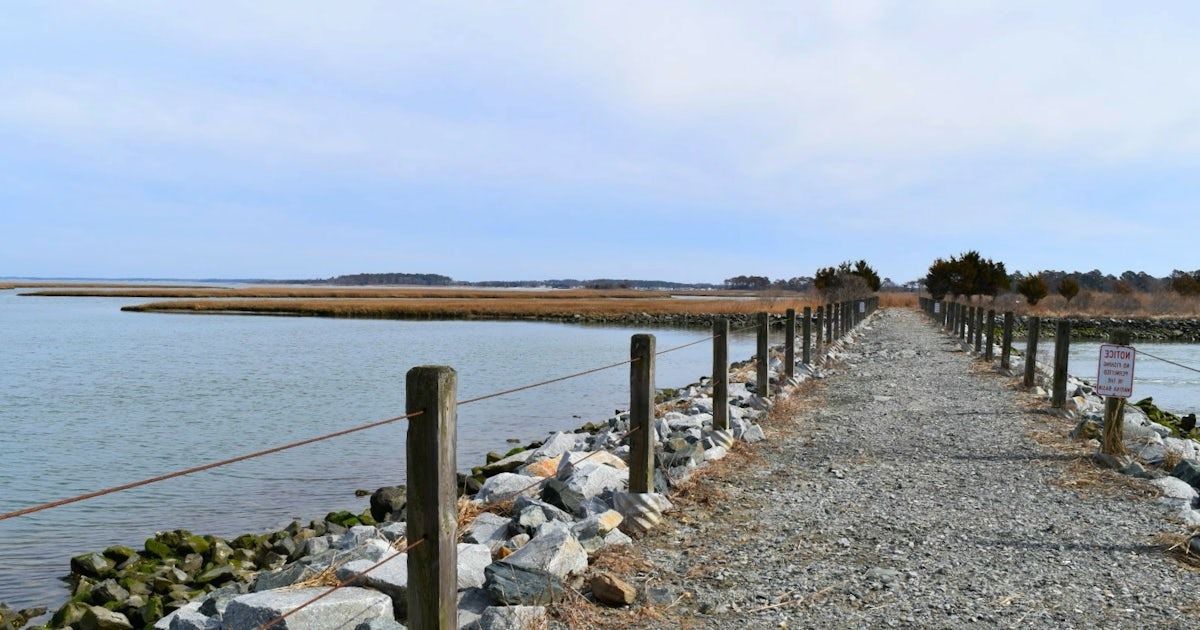 Secrets-Beneath-Delaware8217s-Burton-Island-Waters secrets-beneath-delawares-burton-island-waters