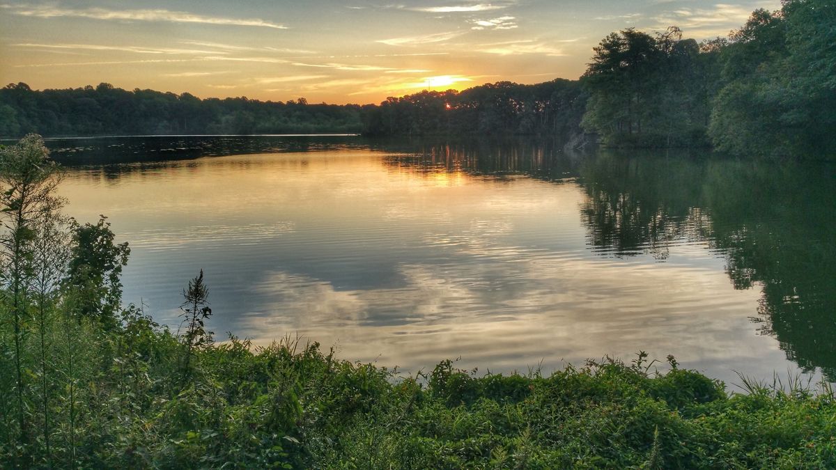 secrets-beneath-delawares-killens-pond