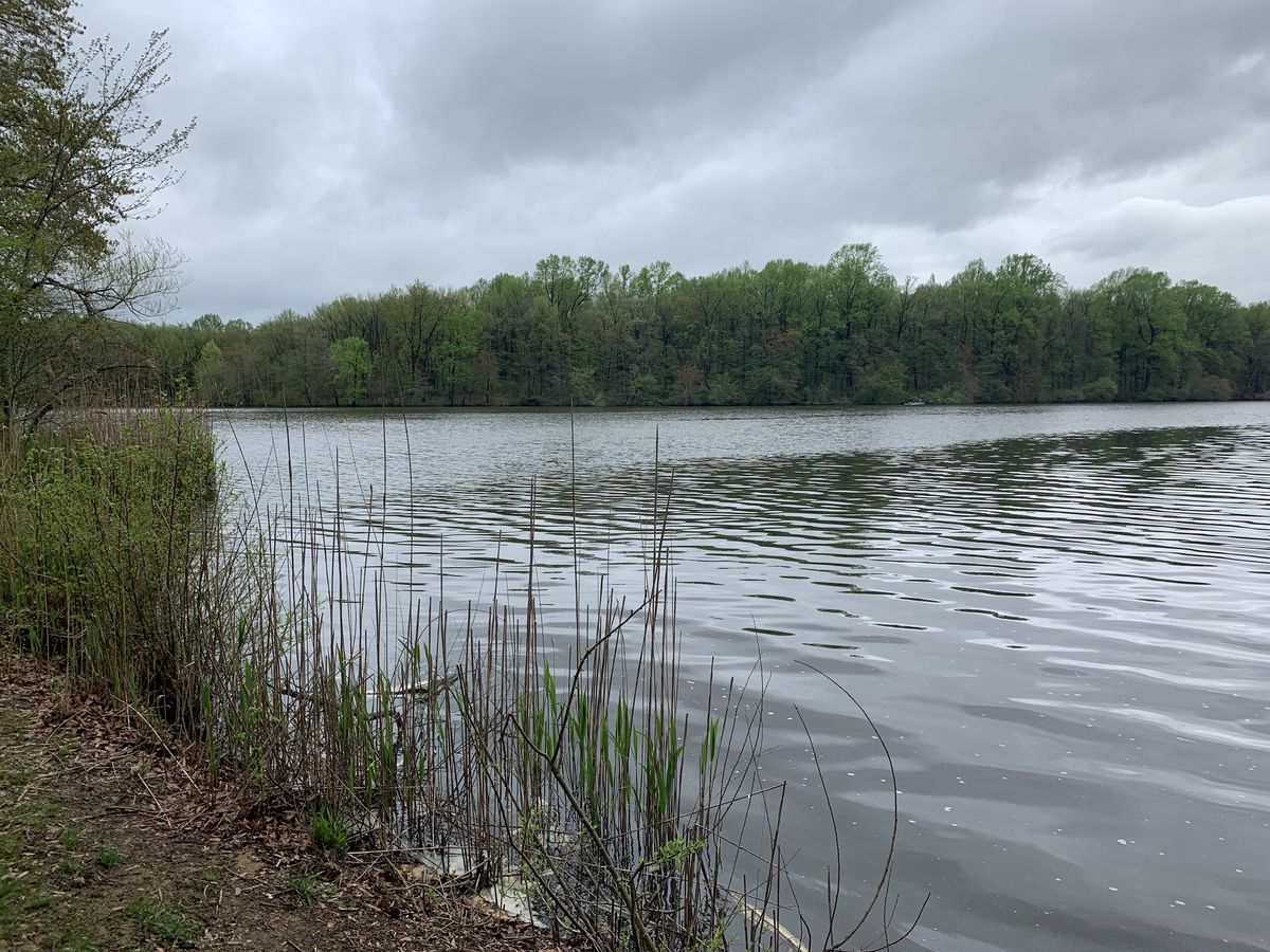 secrets-beneath-delawares-lums-pond