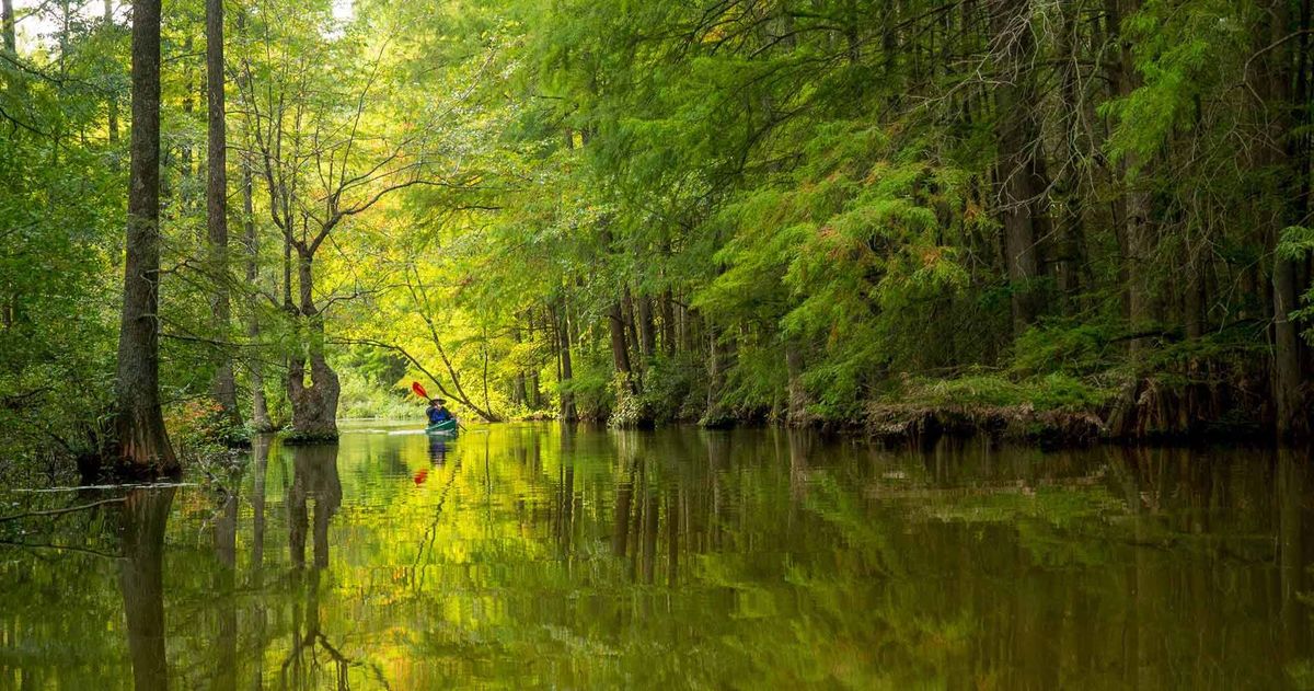 Secrets-Beneath-Delaware8217s-Trap-Pond secrets-beneath-delawares-trap-pond