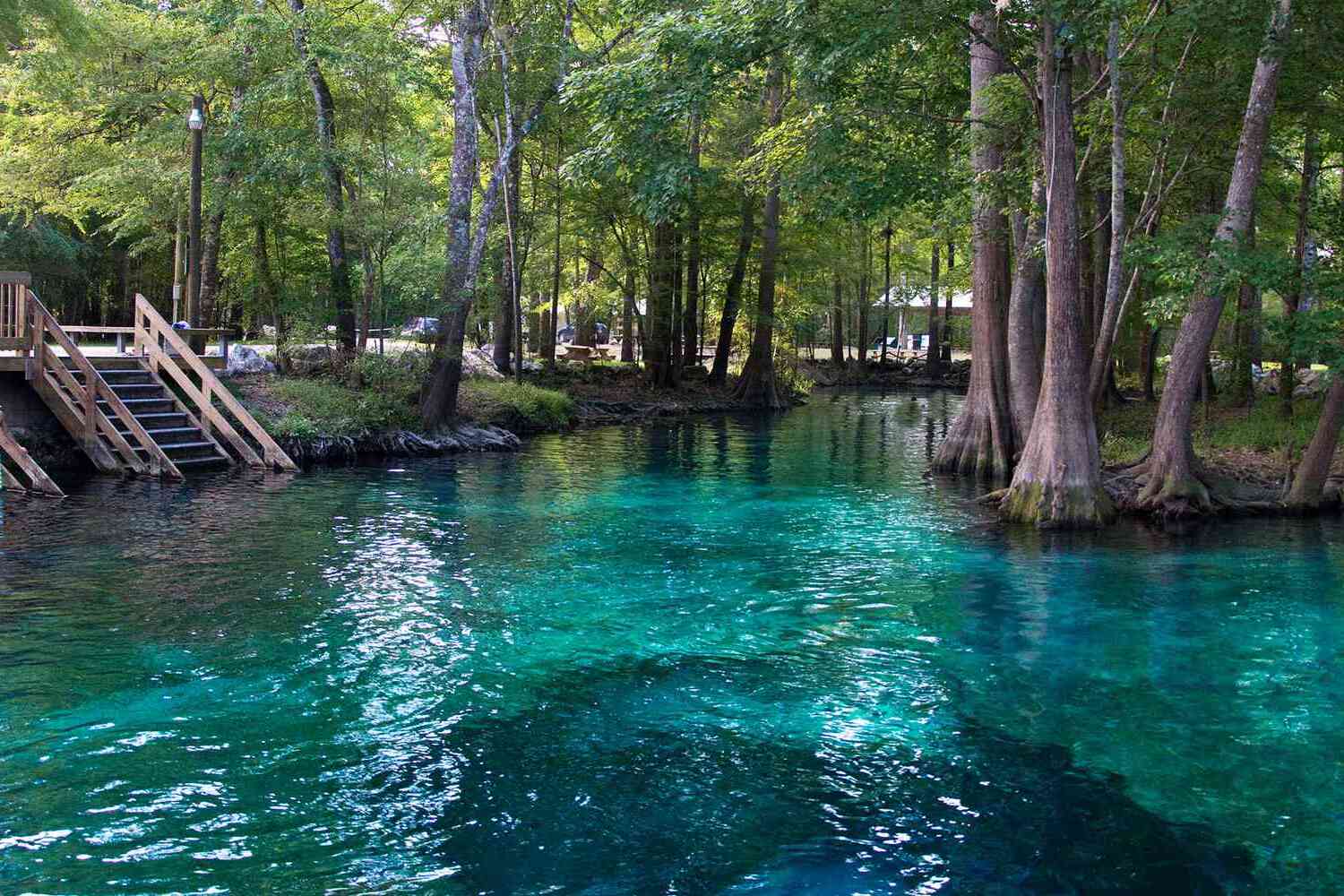 Secrets-Beneath-Florida8217s-Deep-Creek secrets-beneath-floridas-deep-creek