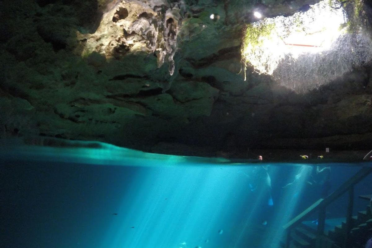 Secrets-Beneath-Florida8217s-Devil8217s-Den-Spring secrets-beneath-floridas-devils-den-spring