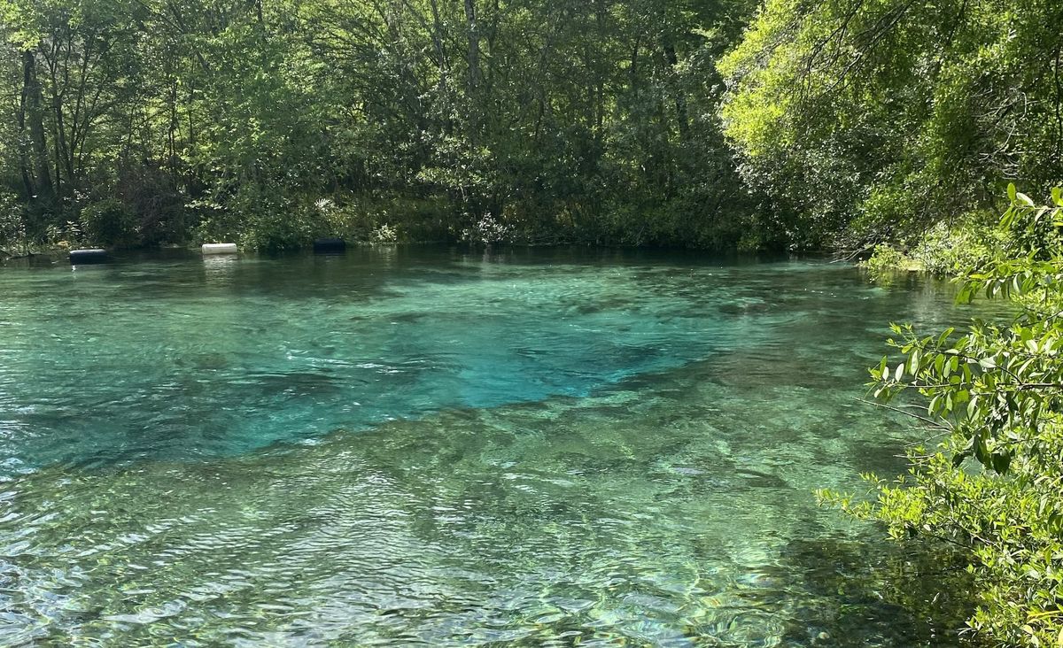 Secrets-Beneath-Florida8217s-Ichetucknee-Waters secrets-beneath-floridas-ichetucknee-waters