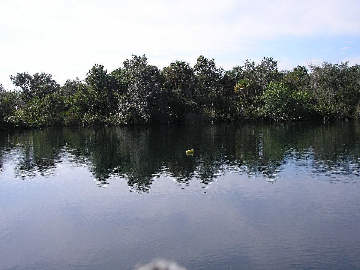 secrets-beneath-floridas-little-salt-spring