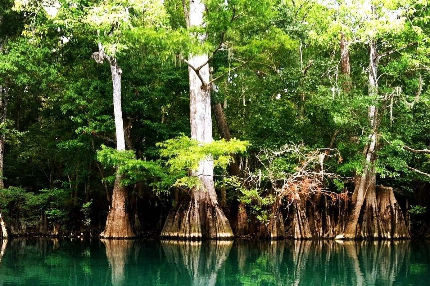 secrets-beneath-floridas-morrison-springs