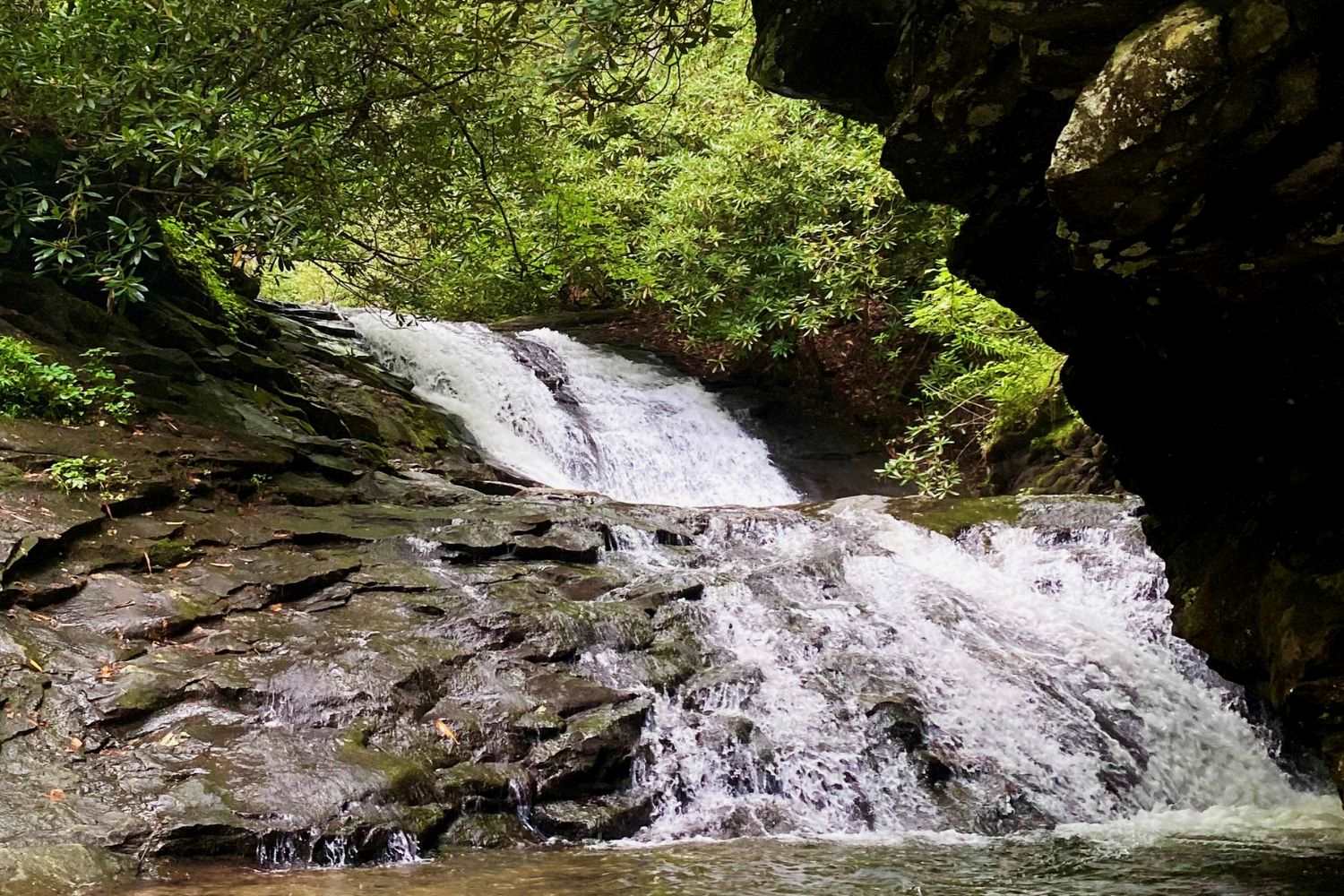 secrets-beneath-georgias-crystal-river