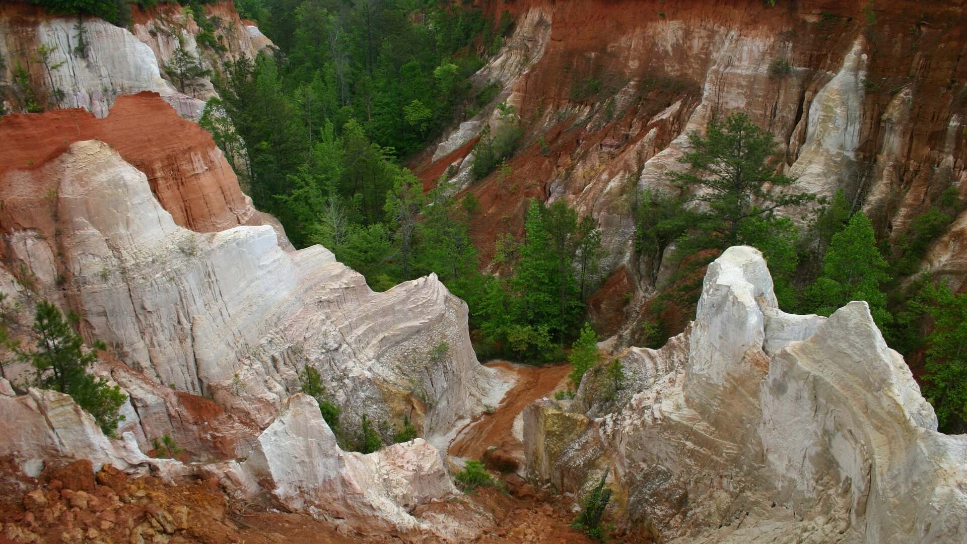 secrets-beneath-georgias-providence-canyon