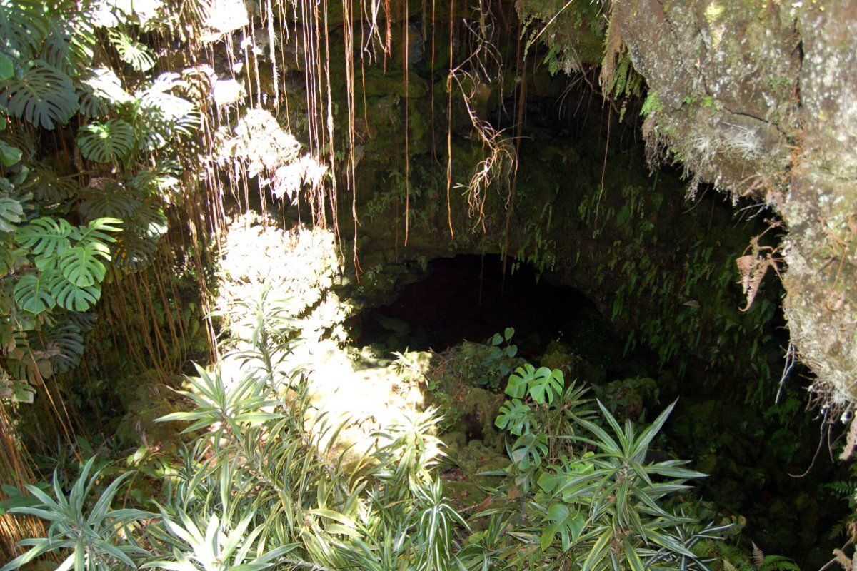 secrets-beneath-hawaiis-kaumana-caves