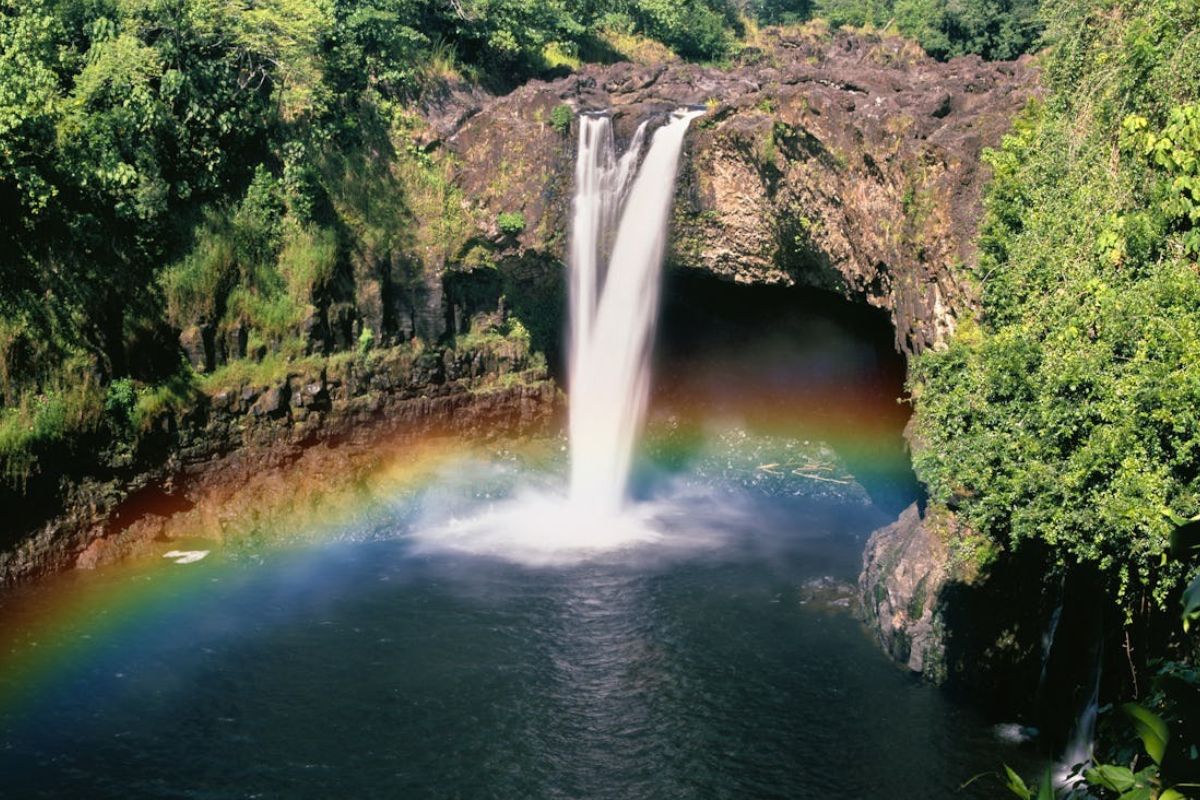 Secrets-Beneath-Hawaii8217s-Rainbow-Forest secrets-beneath-hawaiis-rainbow-forest