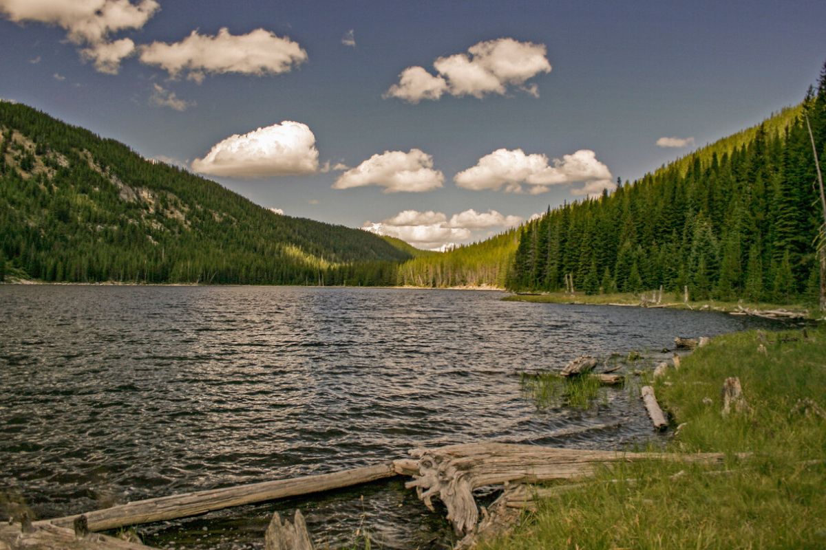 Secrets-Beneath-Idaho8217s-Gospel-Hump-Waters secrets-beneath-idahos-gospel-hump-waters