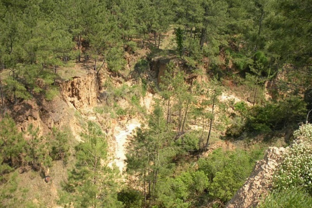 secrets-beneath-louisianas-sicily-island