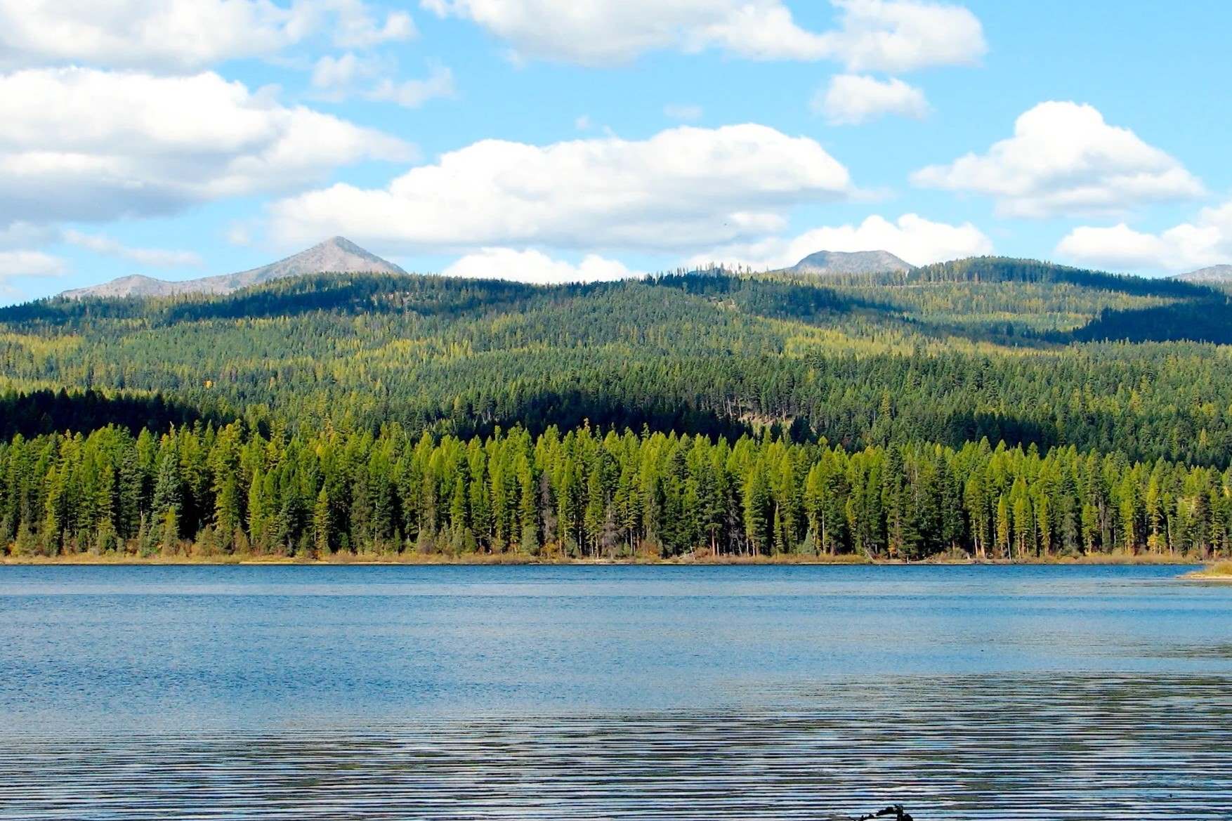 secrets-beneath-montanas-crystal-lake