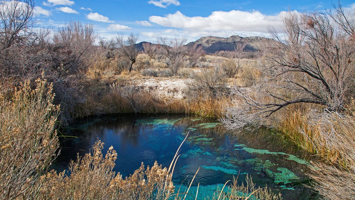 Secrets-Beneath-Nevada8217s-Ash-Meadows secrets-beneath-nevadas-ash-meadows