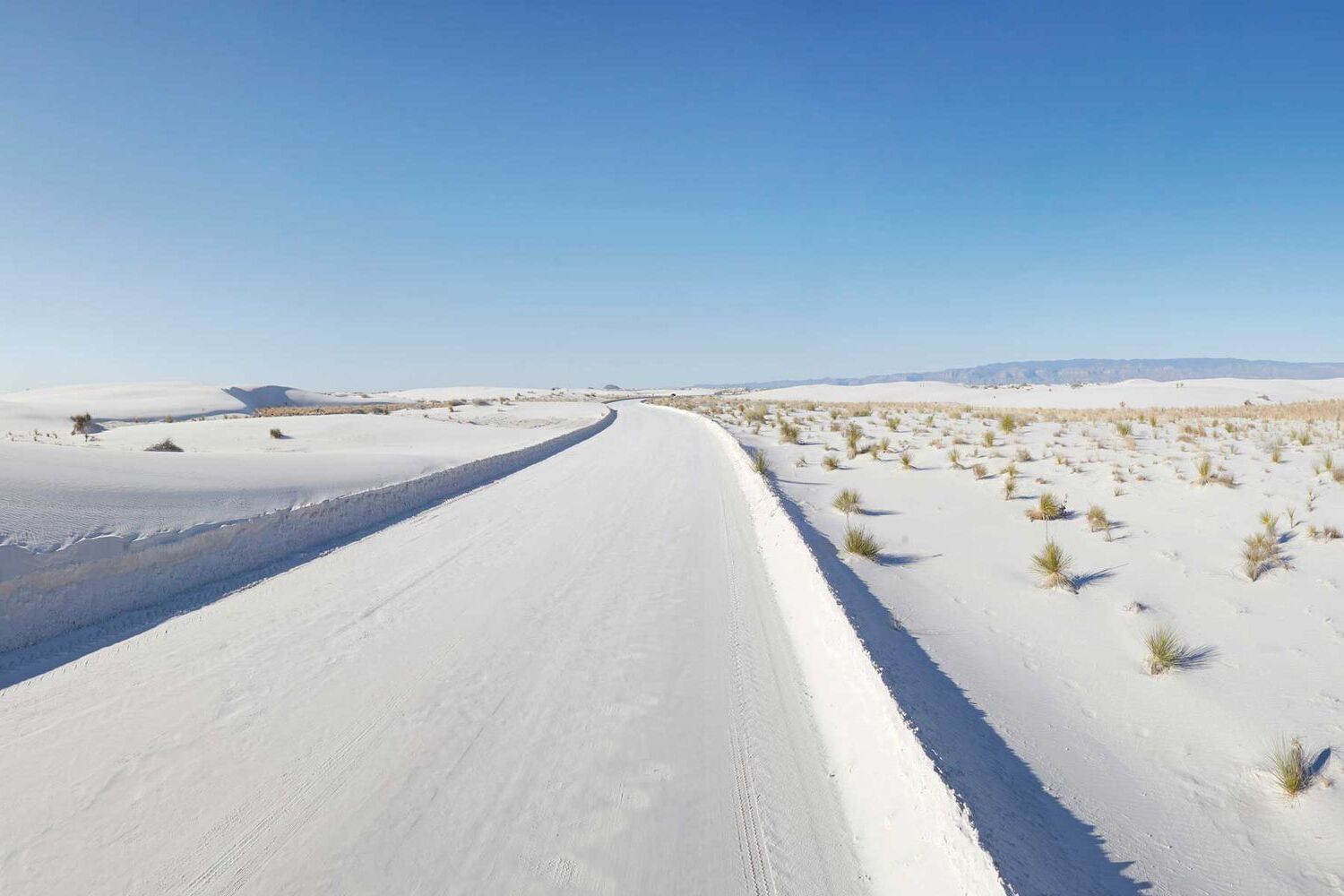 secrets-beneath-new-mexicos-white-sands