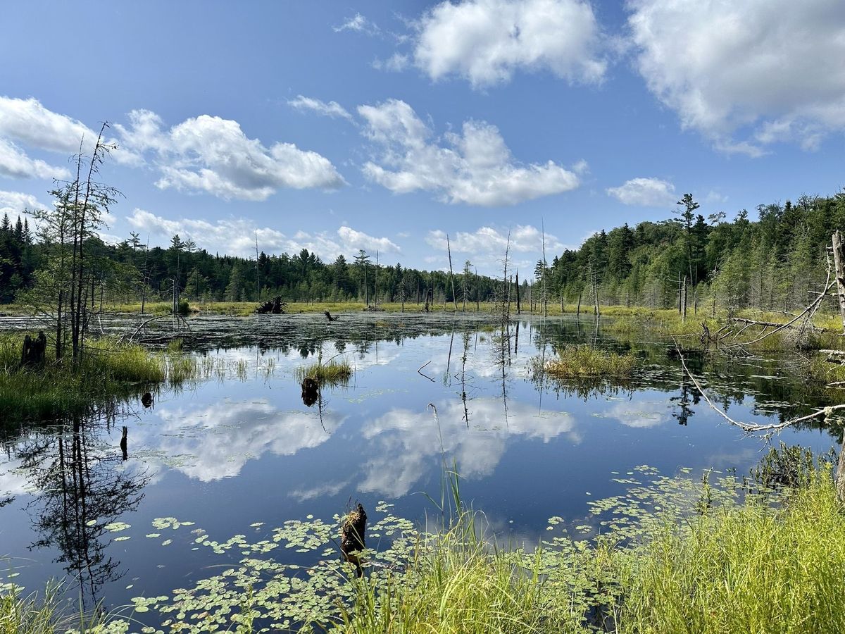 secrets-beneath-new-yorks-five-ponds
