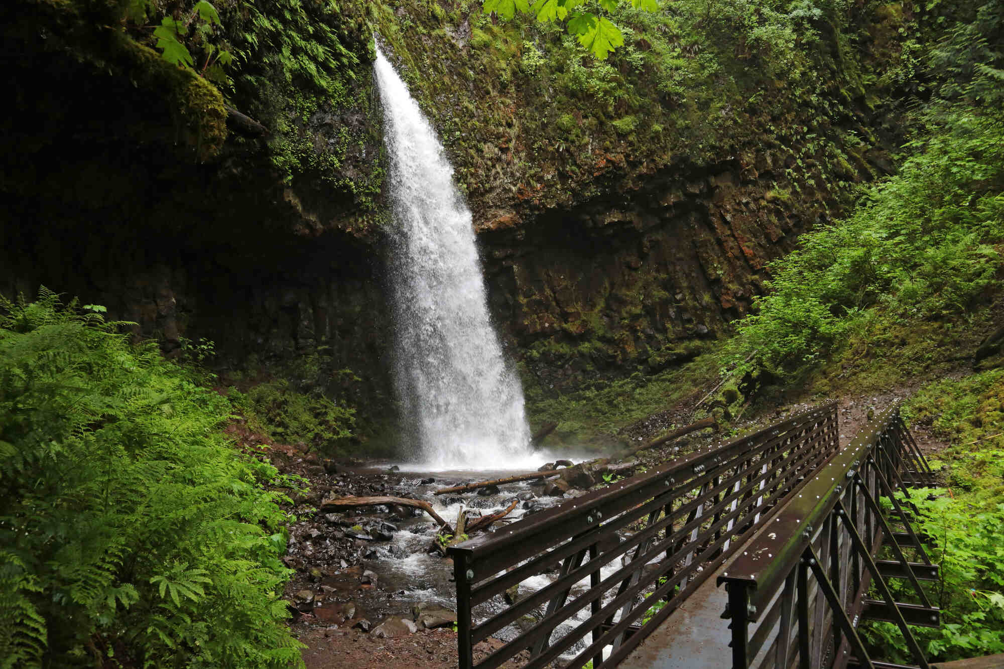 Secrets-Beneath-Oregon8217s-Latourell-Falls secrets-beneath-oregons-latourell-falls