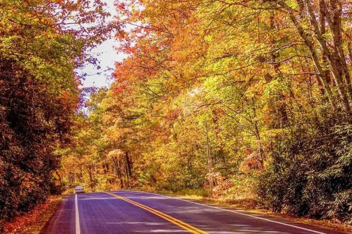 secrets-beneath-south-carolinas-gold-hill