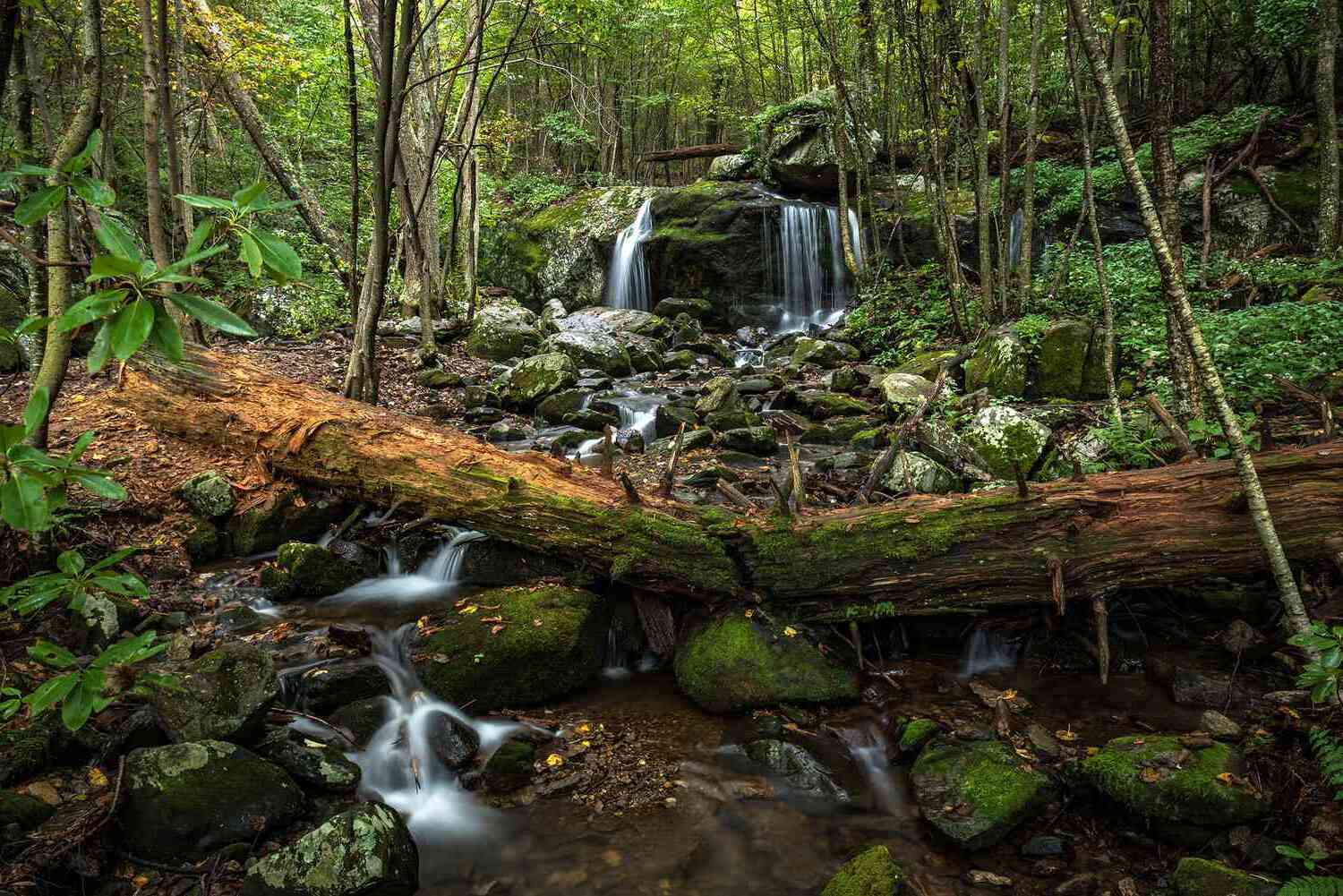 secrets-beneath-virginias-falling-river